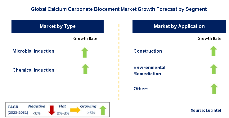 Calcium Carbonate Biocement Market by Segment