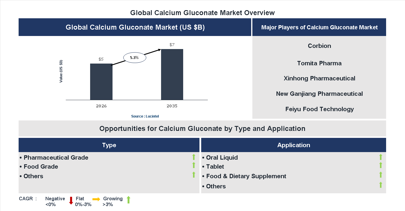 Calcium Gluconate Market Trends and Forecast