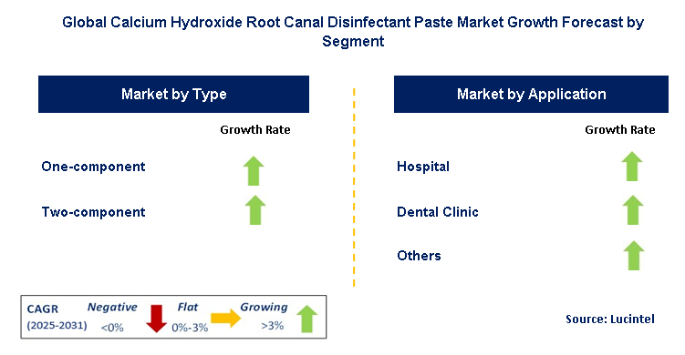 Calcium Hydroxide Root Canal Disinfectant Paste Market by Segment