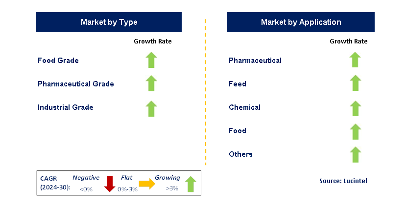Calcium Iodate Anhydrous by Segment Calcium Iodate Anhydrous by Segment