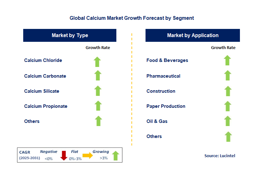 Calcium Market by Segment