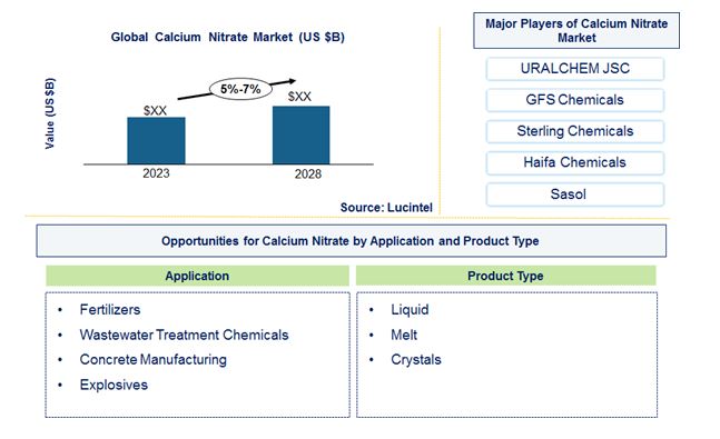 Calcium Nitrate Market by Application, and Product Type