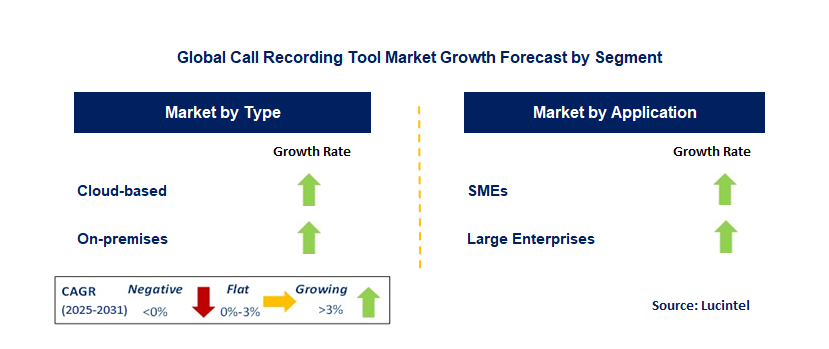 Call Recording Tool Market by Segment