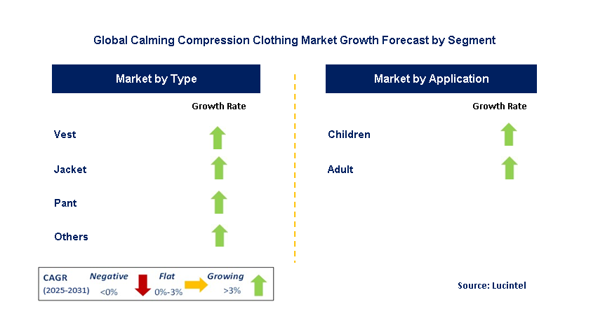 Calming Compression Clothing Market by Segment