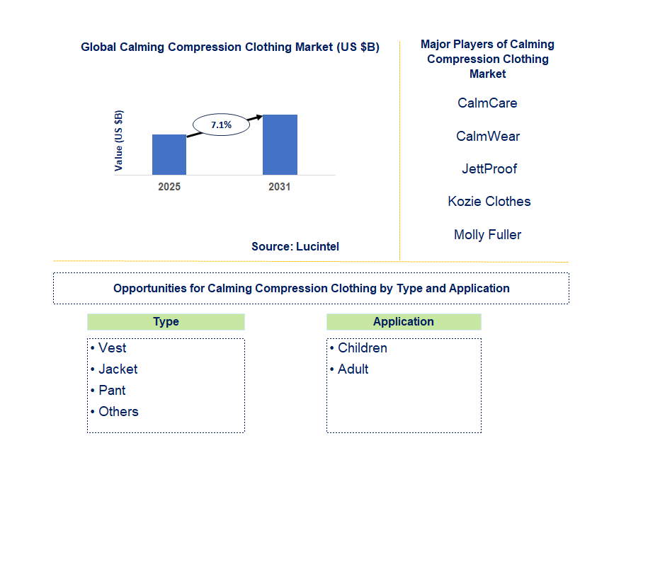 Calming Compression Clothing Market Trends and Forecast