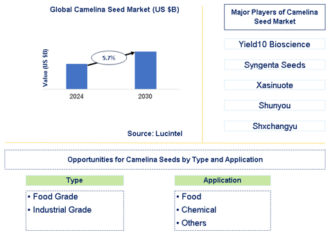 Camelina Seed Market Trends and Forecast