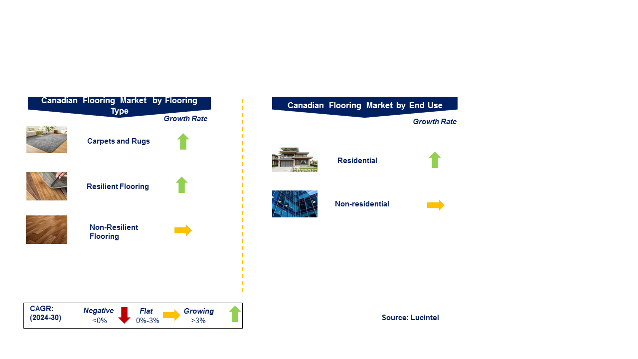 Canadian Flooring Market by Segments