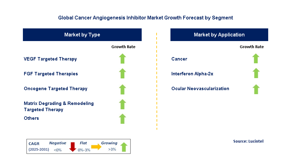 Cancer Angiogenesis Inhibitor Market by Segment