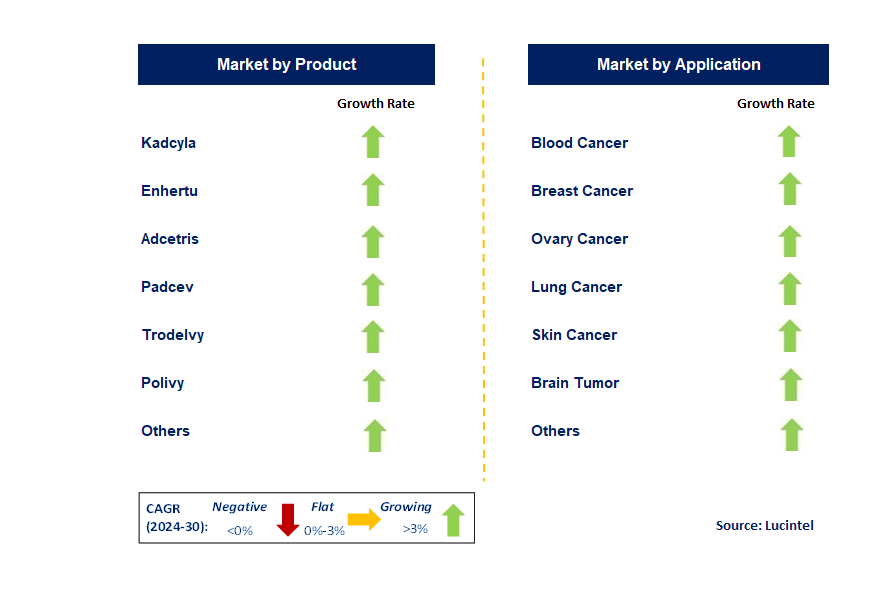 Cancer Antibody Drug Conjugates by Segment