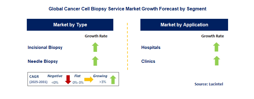 Cancer Cell Biopsy Service Market by Segment