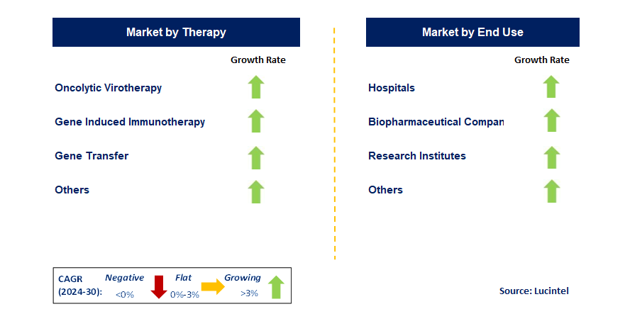 Cancer Gene Therapy by Segment