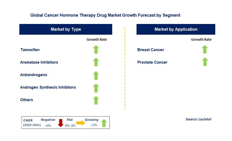Cancer Hormone Therapy Drug Market by Segment