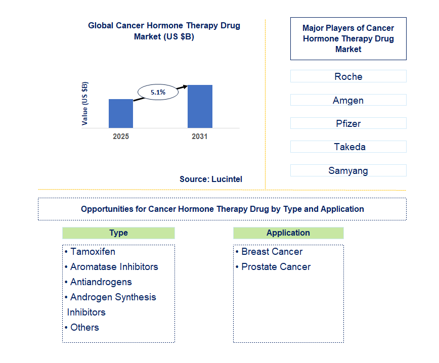 Cancer Hormone Therapy Drug Market Trends and Forecast