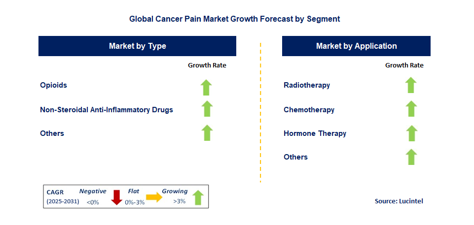 Cancer Pain Market by Segment