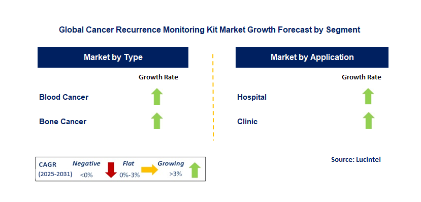 Cancer Recurrence Monitoring Kit Market by Segment