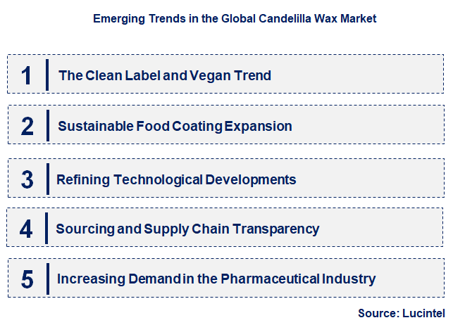Emerging Trends in the Candelilla Wax Market