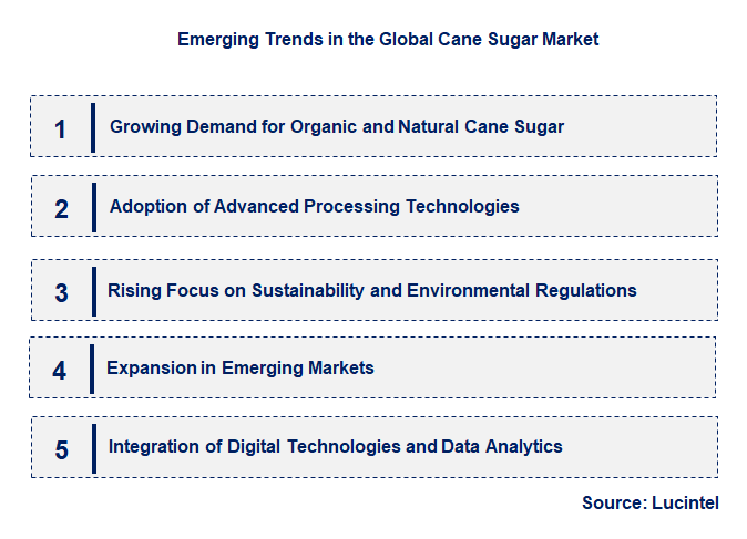 Emerging Trends in the Cane Sugar Market