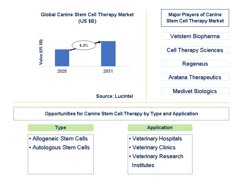 Canine Stem Cell Therapy Market Trends and Forecast