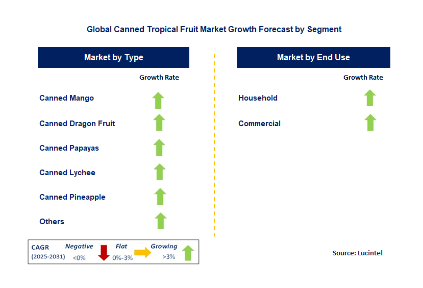 Canned Tropical Fruit Market by Segment
