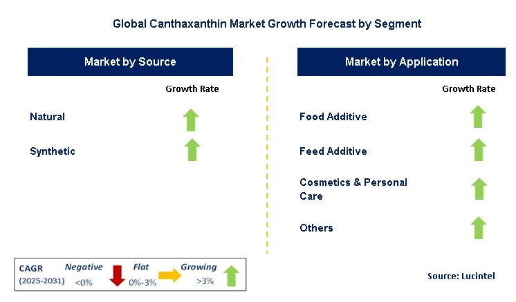 Canthaxanthin Market by Segment