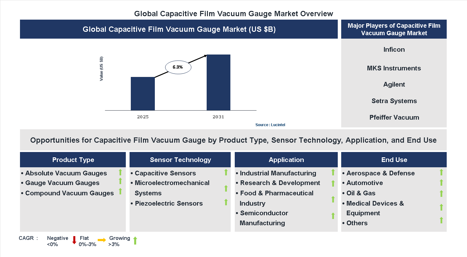 Capacitive Film Vacuum Gauge Market Trends and Forecast