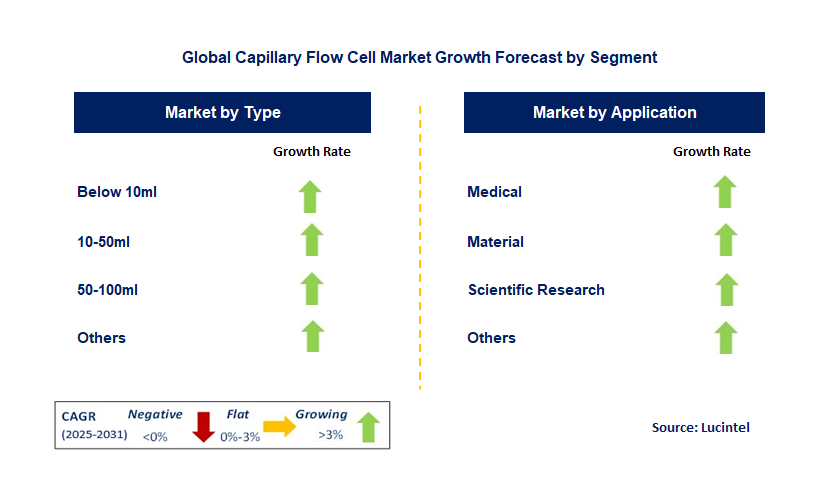 Capillary Flow Cell Market by Segment