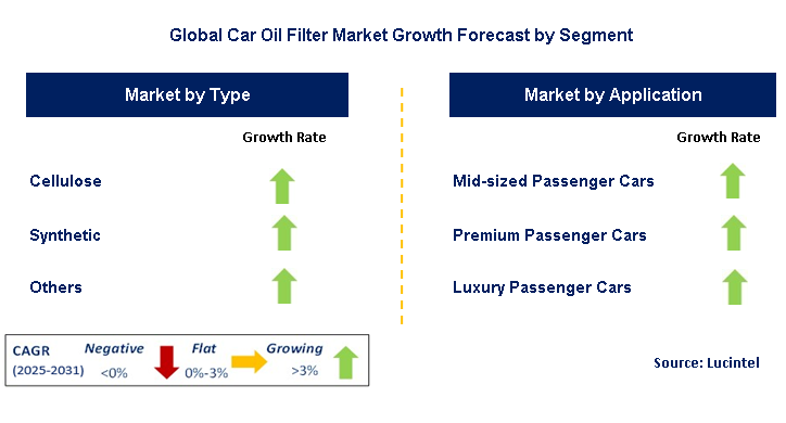 Car Oil Filter Market by Segment