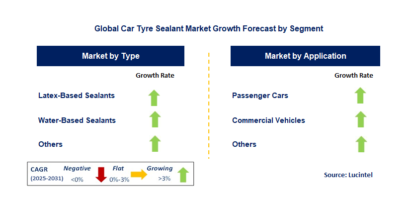 Car Tyre Sealant Market by Segment