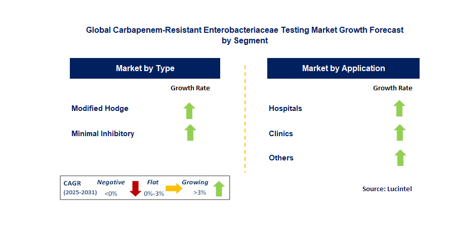 Carbapenem-Resistant Enterobacteriaceae Testing Market by Segment