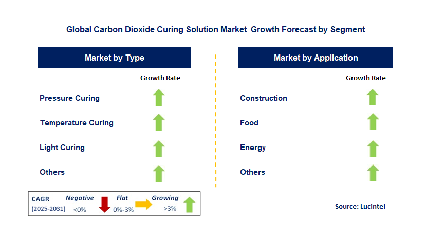 Carbon Dioxide Curing Solution Market by Segment
