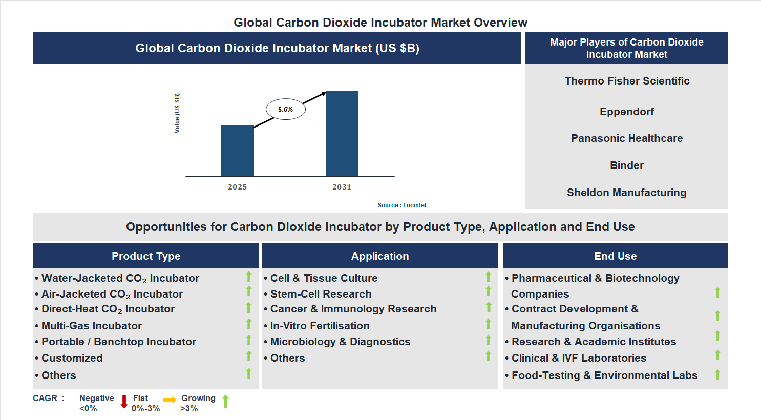 Carbon Dioxide Incubator Market Trends and Forecast
