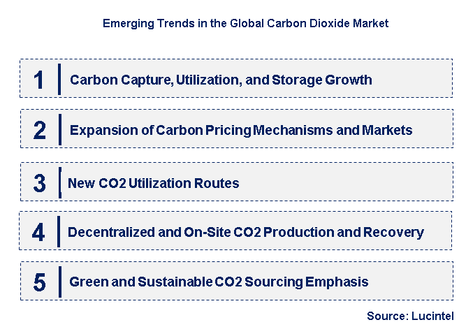 Emerging Trends in the Carbon Dioxide Market