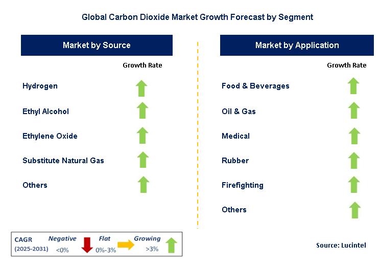 Carbon Dioxide Market by Segment