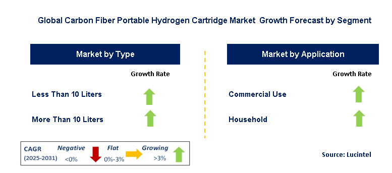 Carbon Fiber Portable Hydrogen Cartridge Market by Segment