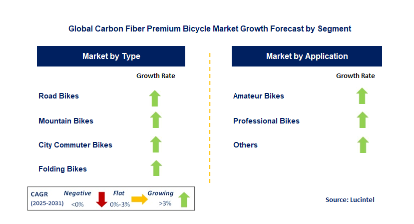 Carbon Fiber Premium Bicycle Market by Segment