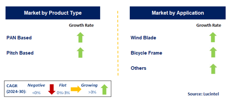 Carbon Fiber for the RTM Market by Segment