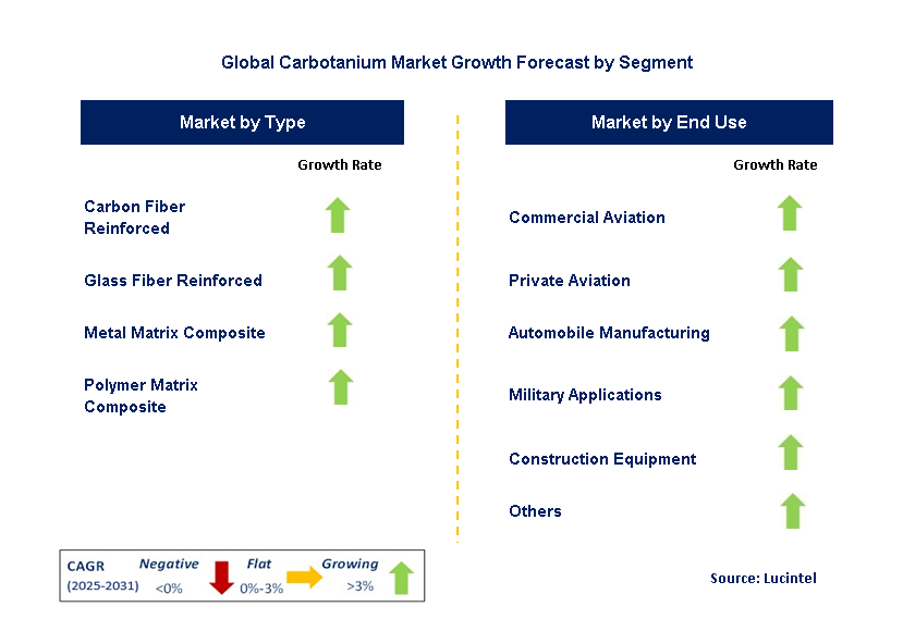 Carbotanium Market by Segment