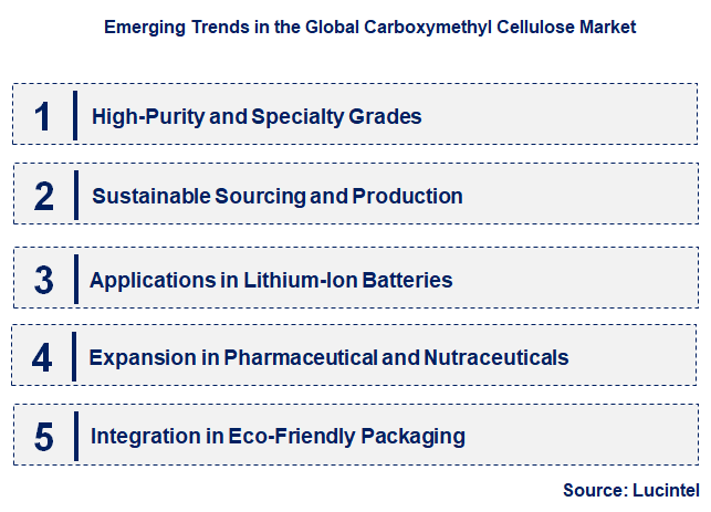 Emerging Trends in the Carboxymethyl Cellulose Market