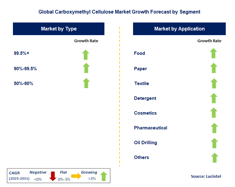 Carboxymethyl Cellulose Market by Segment