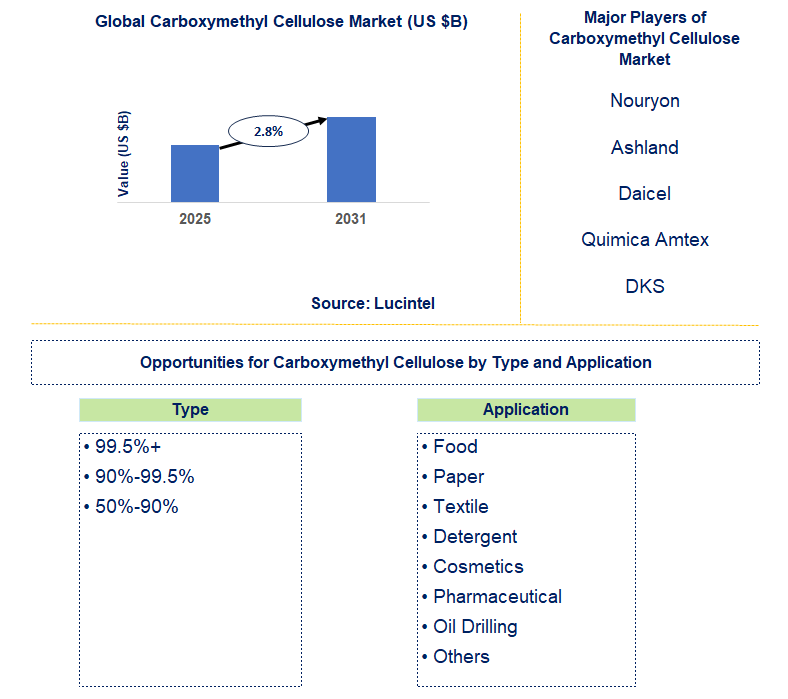 Carboxymethyl Cellulose Market Trends and Forecast