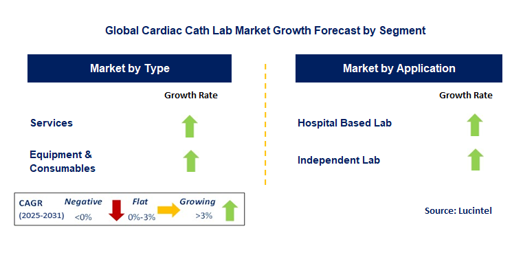 Cardiac Cath Lab Market by Segment