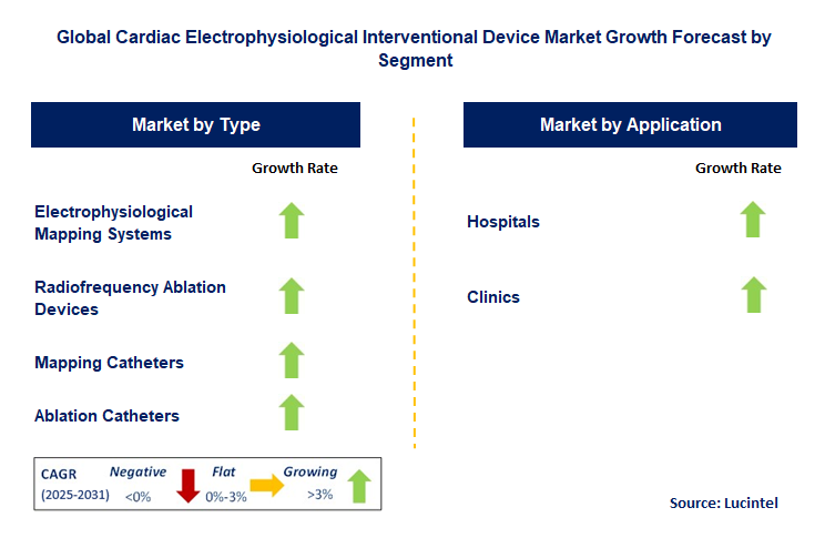 Cardiac Electrophysiological Interventional Device Market by Segment
