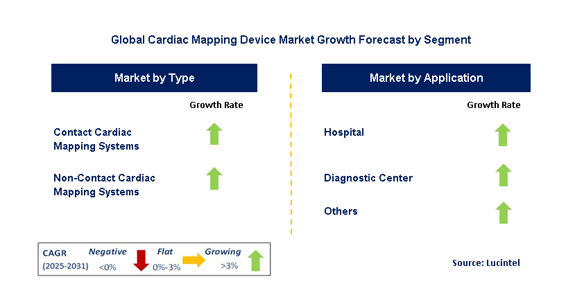 Cardiac Mapping Device Market by Segment