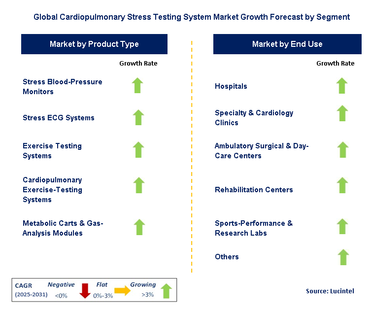 Cardiopulmonary Stress Testing System Market by Segment