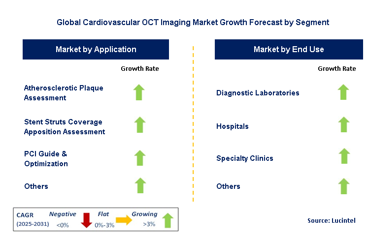 Cardiovascular OCT Imaging Market by Segment