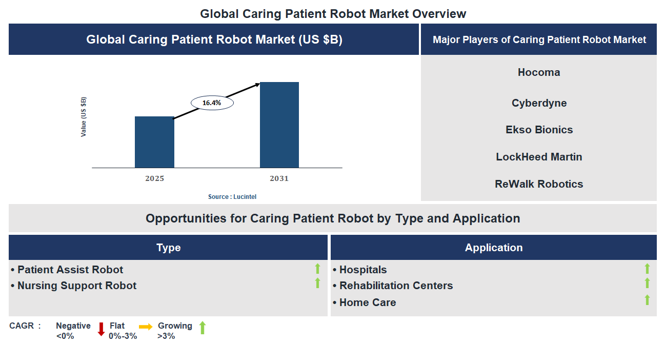 Caring Patient Robot Market Trends and Forecast