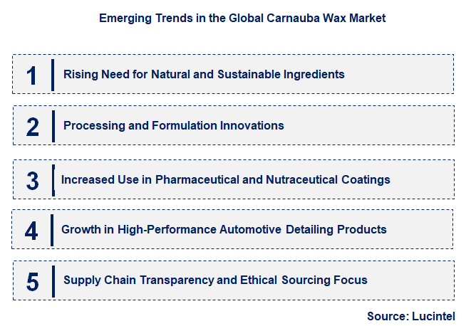 Emerging Trends in the Carnauba Wax Market