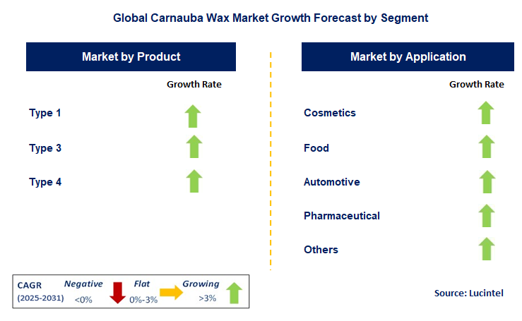 Carnauba Wax Market by Segment