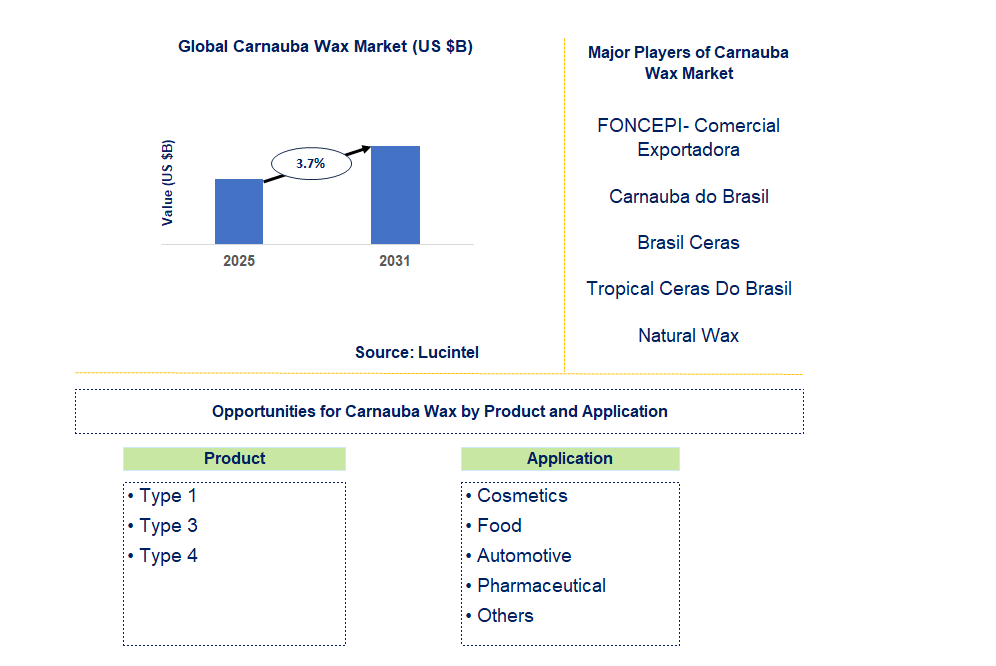 Carnauba Wax Market Trends and Forecast