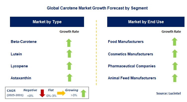 Carotene Market by Segment